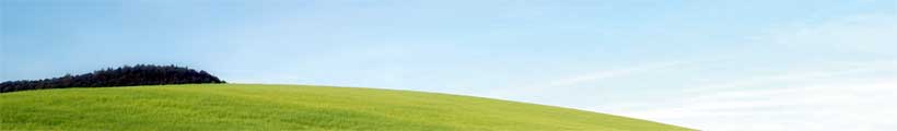 Reliable 1 dollar web hosting at ExpertWebHost.Net
